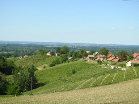 Pomlad v prleških goricah 2017 27